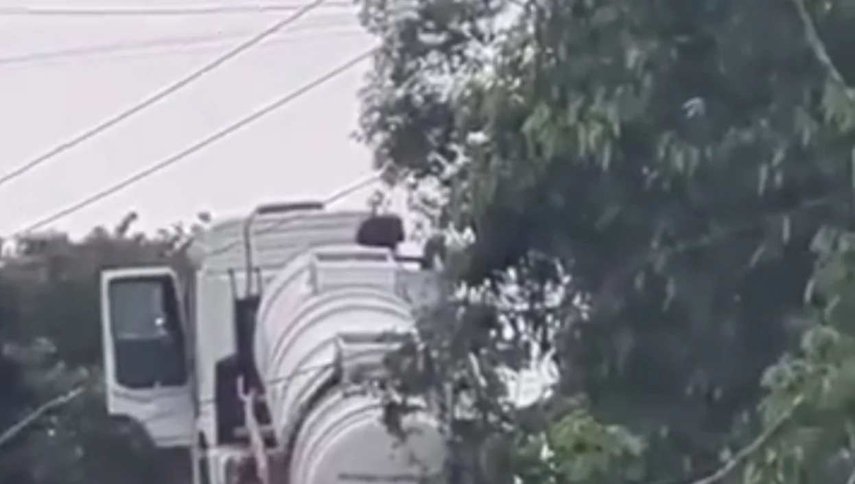 Vídeo: Caminhão de esgoto derrama dejetos em morro de Gaspar, SC