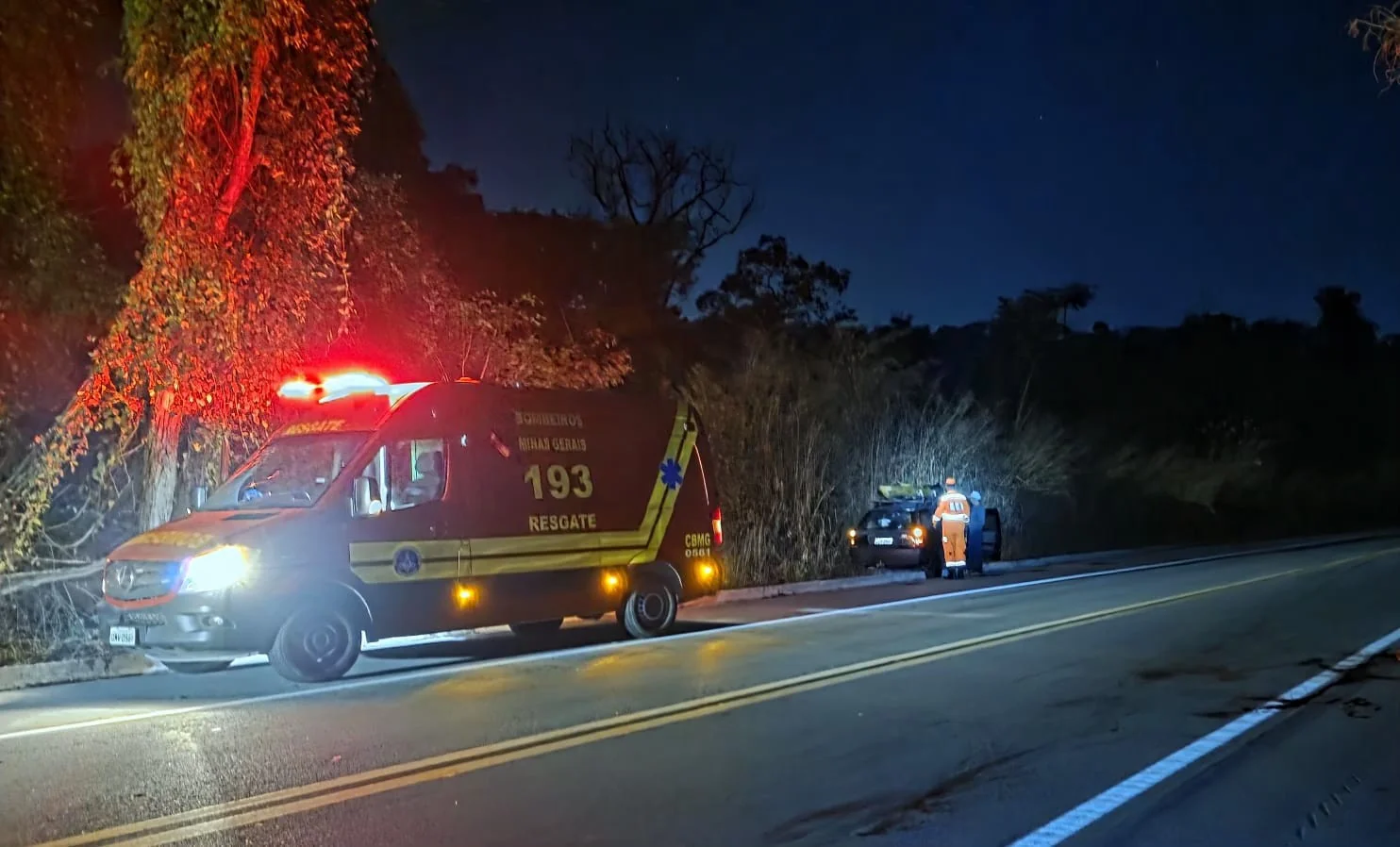 Vaca solta na pista: carro atropela animal e três ficam feridos na BR-494