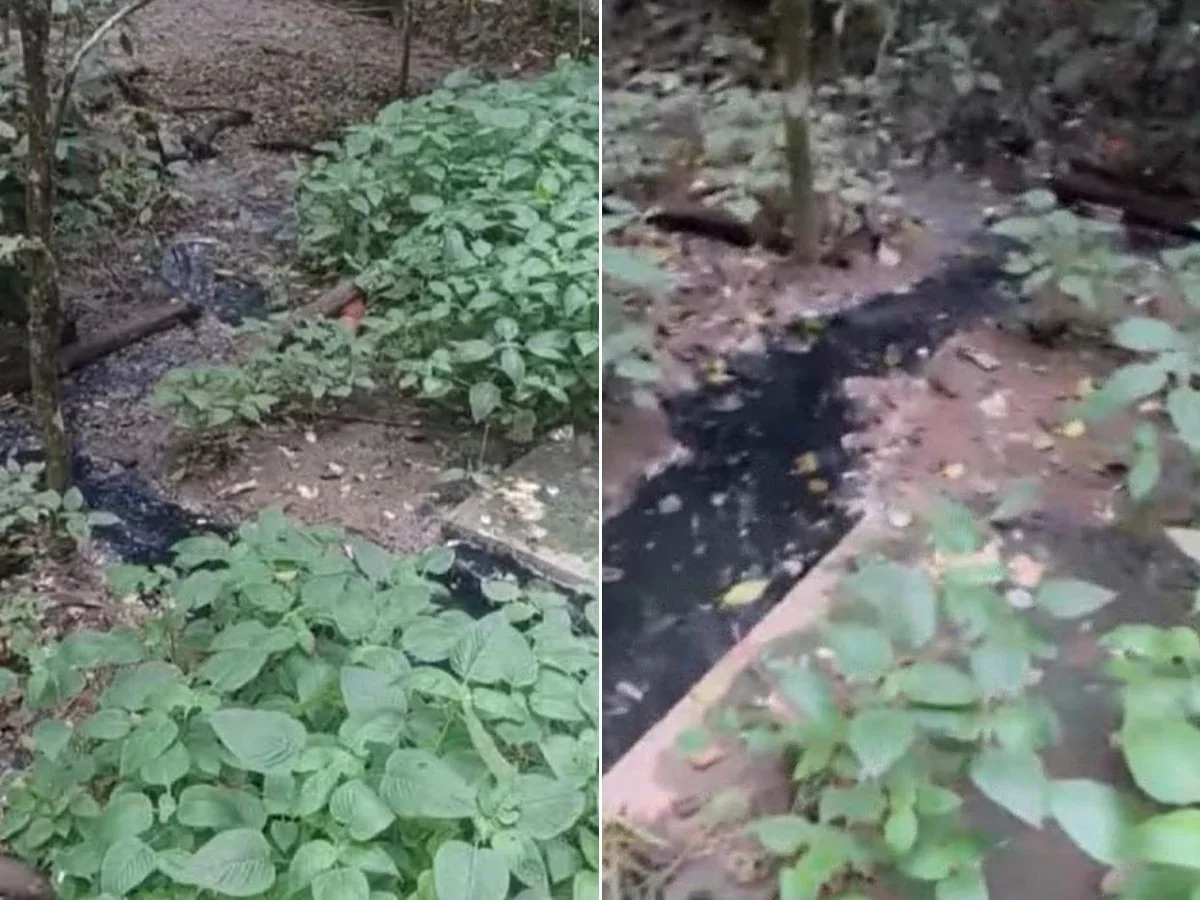 Falhas em usina de resíduos: Polícia Civil apura poluição em rio no litoral de SP