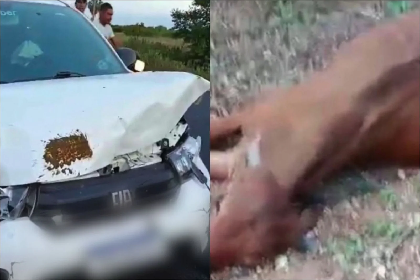 Filho de Neto Araújo sofre acidente a caminho do velório do pai