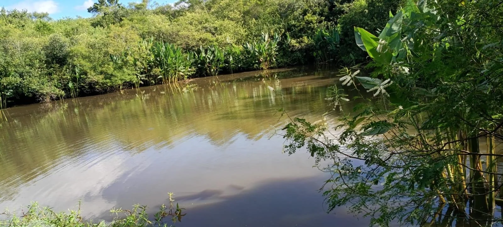 Homem morre afogado em açude enquanto pescava com irmão em Campina Grande