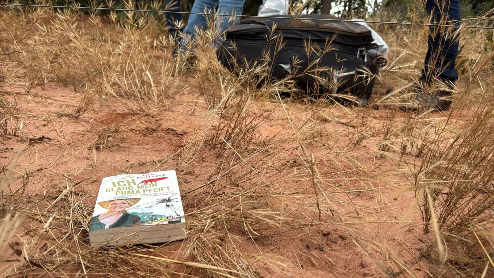 Livros intactos de pesquisadora alemã são achados em destroços de avião em MS