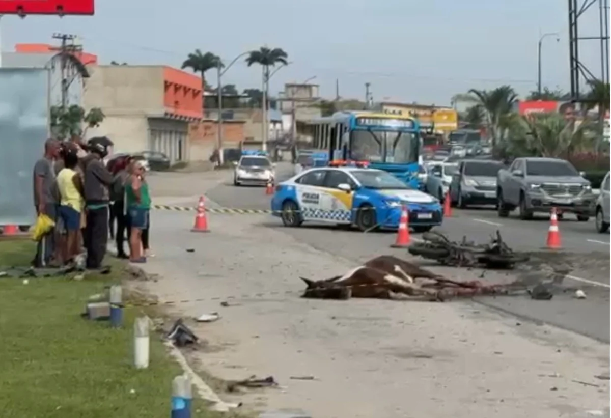 Motociclista morre após bater em cavalo na RJ-106, em Maricá