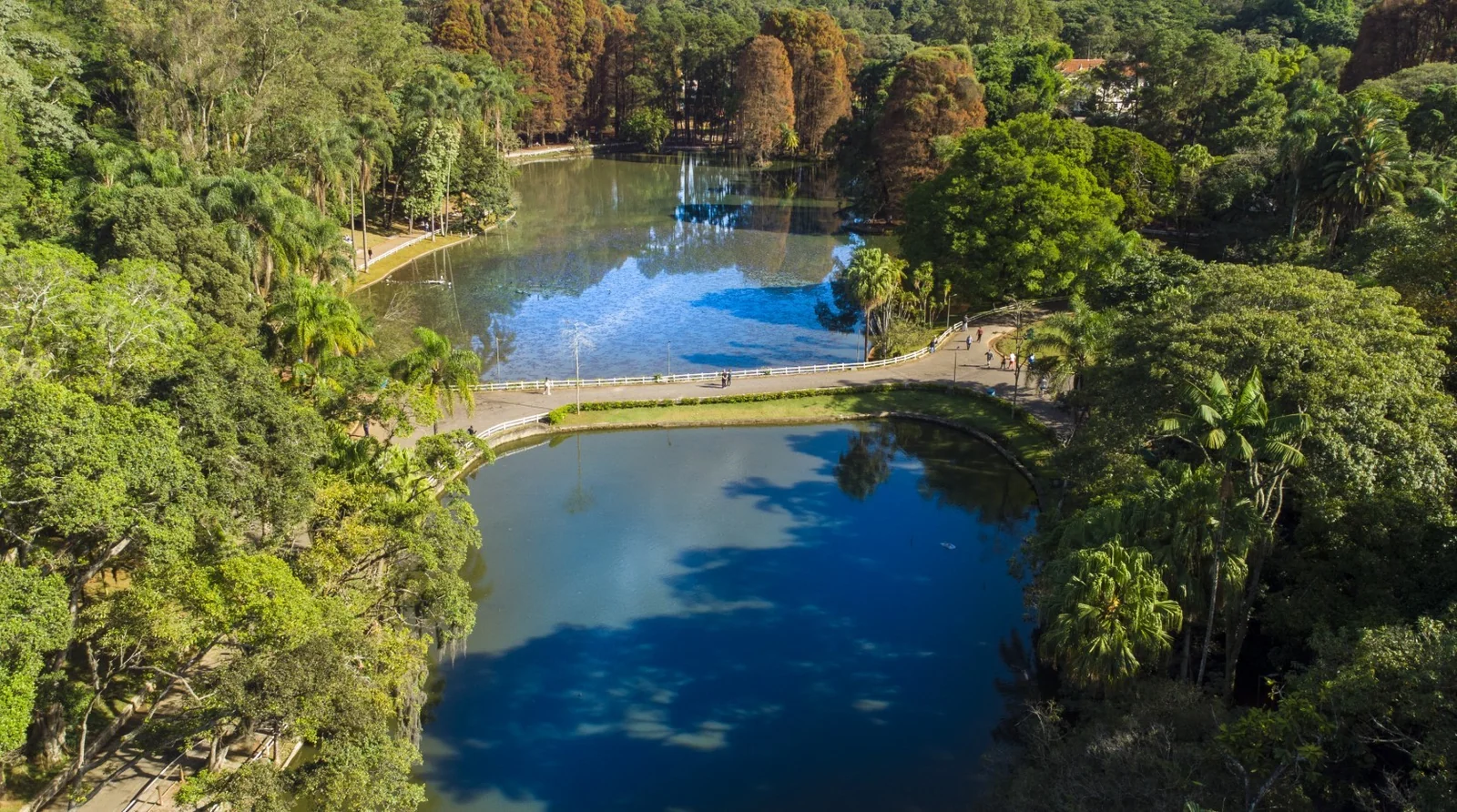 Urbia devolve concessão dos parques Cantareira e Horto Florestal; governo de SP planeja nova licitação